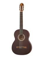 SCLSDB Silena Классическая гитара, NewTone