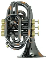 Карманная труба Bb CarolBrass CPT-3000-GLS-Bb-RD
