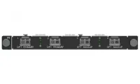 Входная слот карта H_2xFiber