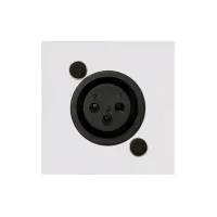 Audac CP45XLFS/W- Модуль настенной панели с разъемом XLR (розетка) – Phoenix, белый