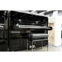 Sauter peter maly edition rondo 122 black polished  дизайнерское пианино, 122, чёрный, с банкеткой
