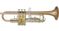 Wisemann DTR-400  труба Bb студенческая, лак-золото