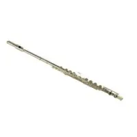 Wisemann dfl-310 sale  флейта c стандартная, не в линию, без резонаторов, посеребренная