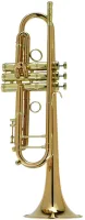 Труба Bb CarolBrass CTR-9990H-RSM-Bb-L