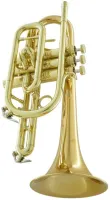 Корнет Bb CarolBrass CCR-3882-GSS-Bb-L