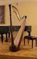RHC21001 Арфа, 40 струн, прямая дека, отделка цвет-Клен, Resonance Harps