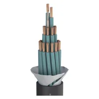 490-0051-2440 SC-Elephant Robust SPM2440 Кабель акустический, 100м, Sommer Cable