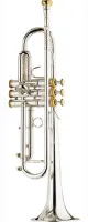 Trumpet Bb Stomvi Elite 5337 330-L - Professional Bb trumpet with L bore and reverse mouthpipe. Rich dark timbre, precise intonation and good projection.