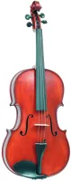 Альт Gliga Gems1 AW-V175