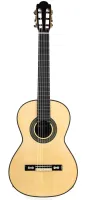 Torres-1859 Классическая гитара, с футляром, Martinez