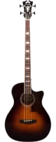 Акустическая бас-гитара D'Angelico Premier Mott PB-700-VSB