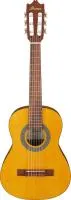 Ibanez Ga1-oam
