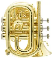 Мини-труба Bb CarolBrass CPT-1000-YSS-Bb-L