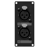 Caymon CASY125/B Модуль CASY с двумя гнездовыми разъемами XLR на передней стороне и двумя клеммными колодками без пайки на задней стороне.