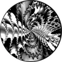 Гобо стекл. Rosco Signature B&W Fractial2 82713