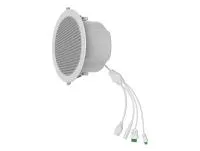 Fanvil A201, SIP-громкоговоритель, PoE, встраиваемый