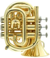 Мини-труба C CarolBrass CPT-1000-YSS-C-L