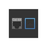 ABL 2T0010DC- Сдвоенный модуль подключения IMP 1xRJ45 Cat6A, 1xUSB-C, черный