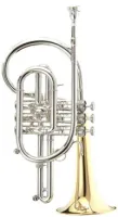 Корнет Bb Stomvi Master Titanium 5881