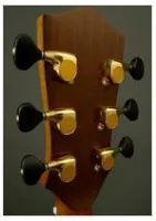 Gotoh SGL510Z-BL5-GG  колки прецизионные 1:21, 3+3, gold, пластик, черный, капля