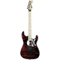 Charvel Warren DeMartini Signature San Dimas®, Maple Fingerboard, Skulls Электрогитара именная Warren DeMartini, аэрография