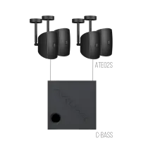 AVCLINK LIGHT/SB Состав комплекта: ATEO2S/B 4 штуки + C-BASS 1 штука черного цвета.