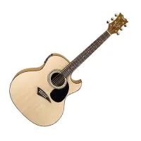 AK48F/Эл/Акустич.гитара Tradition AK48 w/Case/DEAN