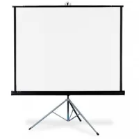 Экран Diplomat AV (1:1) 60/60" 152*152 XT1000E (MW) -