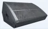 Audiocenter WM212-DSP - Активный сценический монитор