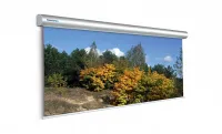 Projecta Master Electrol 300х500см (230") Rear projection Проекционный экран обр. проекции с эл/прив
