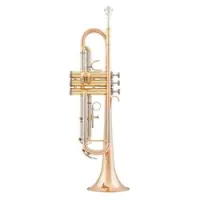 Arnoldsandsons atr-4200g-terra  труба bb студенческая модель, желтая латунь, растр 120,65, золотой лак