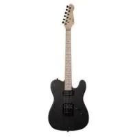 Omni te-hh bk  электрогитара, telecaster, hh, цвет черный