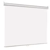 Настенный экран Lumien LEP-100120 Eco Picture [198х300см (рабочая область 164х292 см) (132") Matte White верх.кайма 30 см, прямоуголный корпус, возможность потолочн./настенного крепления, 16:9]