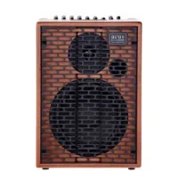 Acus one forstrings 8ferdi wood  комбоусилитель для акустической гитары
