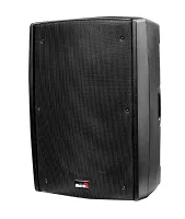B2-115-power Активная акустическая система, 450Вт, Biema
