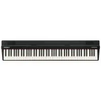 Roland Go-88px