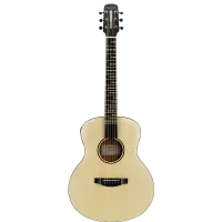 POPUMUSIC Poputar T1 Smart Guitar Travel Edition Wood Умная акустическая гитара уменьшенного размера, топ - ель, корпус - махаг