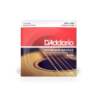D'addario EJ39 - струны для 12 струнной акустической гитары ( 12 - 52 ) фосфористая бронза