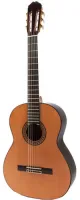 Классическая гитара Raimundo 146 Spruce
