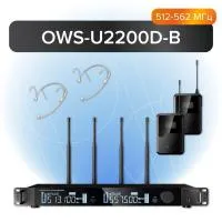 OWS-U2200D01-B Двухканальная радиосистема, 2 головных микрофона, Октава