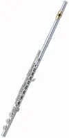 Флейта Pearl Elegante PF-795RB-CD