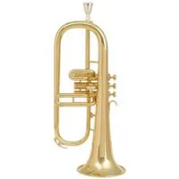 Amati AFH 201-O  флюгельгорн Bb студенческий, лак, золото