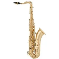 Arnoldsandsons ats-301-terra  саксофон тенор bb, профессиональный, верхний клапан f#, покрытие лак