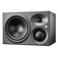 KH 310 D R G монитор, правый, тёмно-серый Neumann