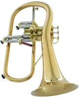 Флюгельгорн CarolBrass Legendary CFL-6200-GSS(Euro)-Bb-L