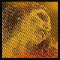 Violin string set Evah Pirazzi Gold Ball 415021 - Струны на синтетической основе с рафинированным и мощным звуком и отличной проекцией. Соль с золотой обмоткой, ми с шариком.