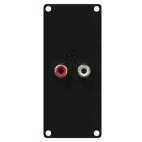 Caymon CASY132/B Модуль CASY с двумя гнездовыми разъемами RCA / cinch на передней стороне модуля и разъемом клеммной колодки на задней панели.