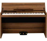 Korg Poetry M