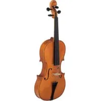 Strunal 920 1/8  Скрипка студенческая, уменьшенный вариант 1/8