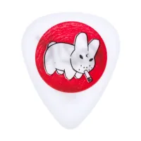 BL23R100 Медиаторы 36шт, Dunlop